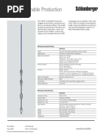 CPLT Combinable Production Logging Tool