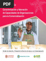 Metodología - Caracterización y Valoración de Capacidades de Organizaciones para La Comercialización-3 PDF