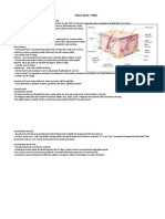 Pielea Schema Lectiei