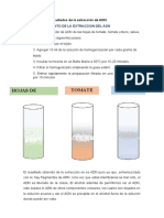 Informe 10 BioPract