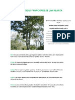 Características y Funciones de Una Planta