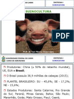 SUIAula1 PDF