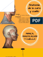 Musculos de La Cara y El Cuello