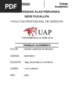 TRABAJO ACADEMICO Acto Juridico