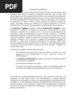 PLANEACIÓN AGREGADA Elementos y Relaciones PDF