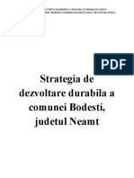 Stategia de Dezvoltare Durabila A Comunei Bodesti