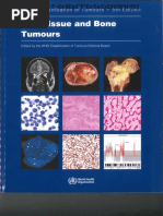 2020 WHO Classification of Soft Tissue and Bone Tumours