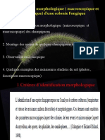 TP3 Phytopathologie Champinons