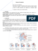 Sistema Circulatório