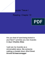 Muscular Tissue I Reading: Chapter 10