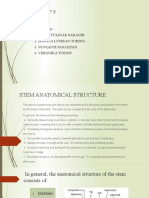 Anatomy of Stem