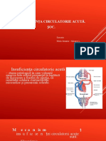 Referat Insuficienta Circulatorie Acuta