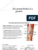 Regiunea Genunchiului Si Gambei Covali Ion