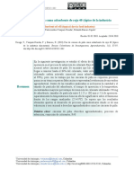 Cascara Piña - Adsorbente PDF