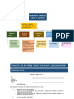 Formato de Informes Ambientales