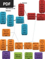 Arbol Genealogico.