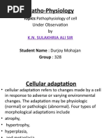 Patho-Physiology: Topics