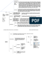 Foro, Bio, Sistema Endócrino