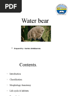 Water Bear: University of Zakho Faculty of Science Dep. of Biology (2019-2020)