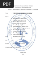 Monografía - Seguridad y Defensa Nacional