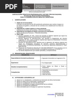 Base Practicas Profesionales N°007-2020 PDF