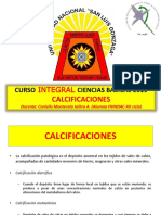 Patología-Tema N - 4-Calcificaciones PDF