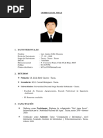 Curriculum Vitae Luis Callo Churaira PDF