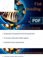 Fish Breeding