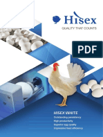 Hisex White: Outstanding Persistency High Productivity Superior Egg Quality Impressive Feed Efficiency