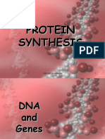 Protein Synthesis