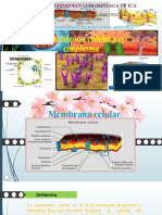 La Membrana Celular y El Citoplasma