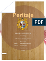 Peritaje - Trabajo n2T