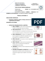 Trabajo Autonomo # 3 Niveles de Organizacion de La Materia