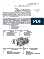 Cell Membrane Worksheet 1 PDF