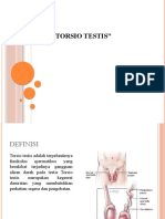 Torsio Testis