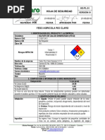 Ficha de Seguridad Yeso