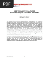 Project Report On Menthol Crystal Plant