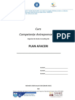 Structura Plan de Afaceri PRACTEH