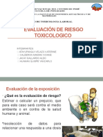 Evaluacion de Riesgo Toxicologico, GRUPO2