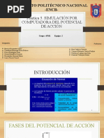 Seminario Completo 5