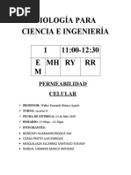 Informe Final