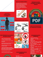 Folleto de Prevencionç