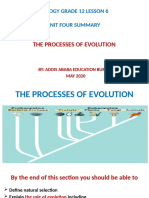 Biology Grade 12 Unit 4 Summary The Processes of Evolution