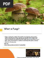 Fungi - VII-ppt by Vamika