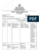 Weekly Home Learning Plan