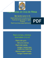 02 - Bernardo - Latorre Botrytis, Penicillium PDF