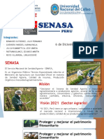 Grupo 5 - SENASA PDF