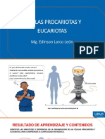 Semana 3 Teoria Celulas Procariota y Eucariotas