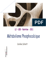 Phosphocalcique