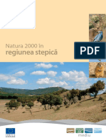 Regiunea Stepica